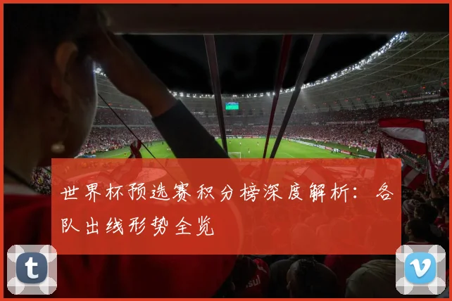 世界杯预选赛积分榜深度解析：各队出线形势全览
