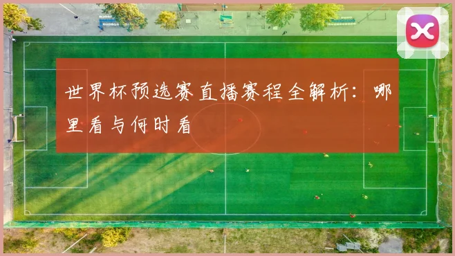 世界杯预选赛直播赛程全解析：哪里看与何时看