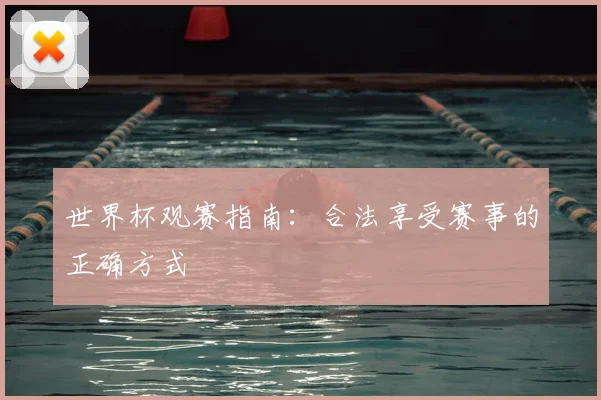 世界杯观赛指南:合法享受赛事的正确方式