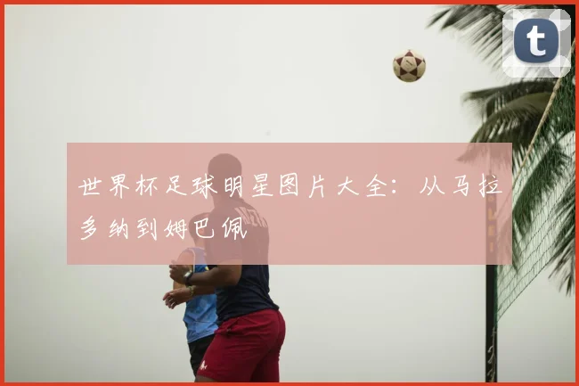 世界杯足球明星图片大全:从马拉多纳到姆巴佩