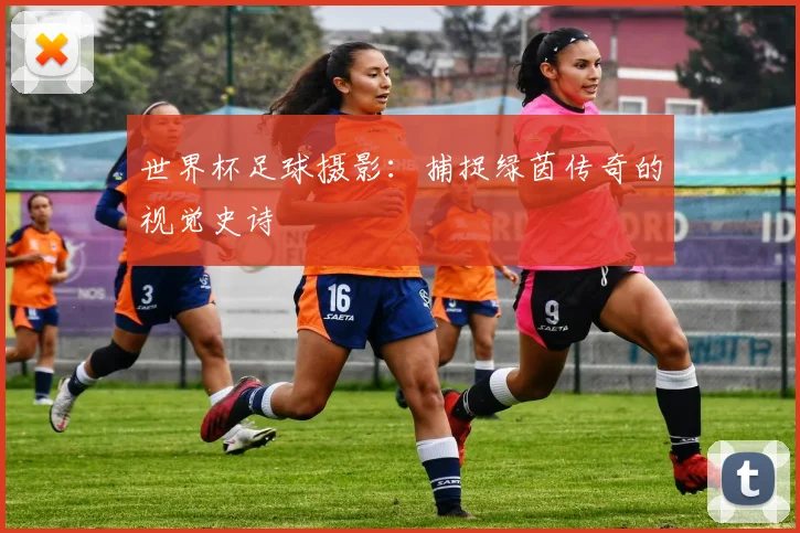 世界杯足球摄影:捕捉绿茵传奇的视觉史诗