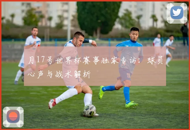 月17号世界杯赛事独家专访：球员心声与战术解析