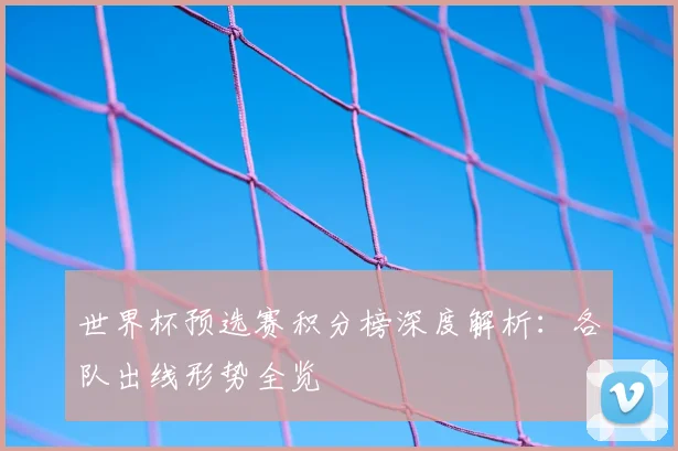 世界杯预选赛积分榜深度解析：各队出线形势全览