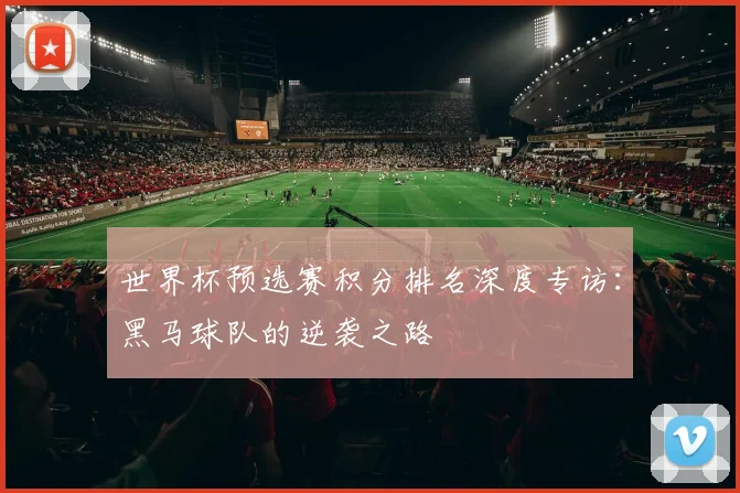 世界杯预选赛积分排名深度专访：黑马球队的逆袭之路