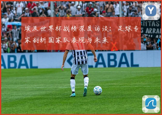 埃及世界杯战绩深度访谈：足球专家剖析国家队表现与未来